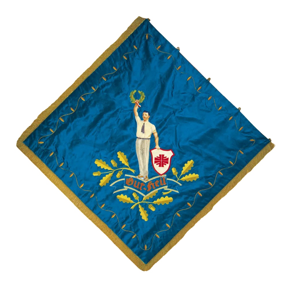 tvdrmsheim_fahne_rs